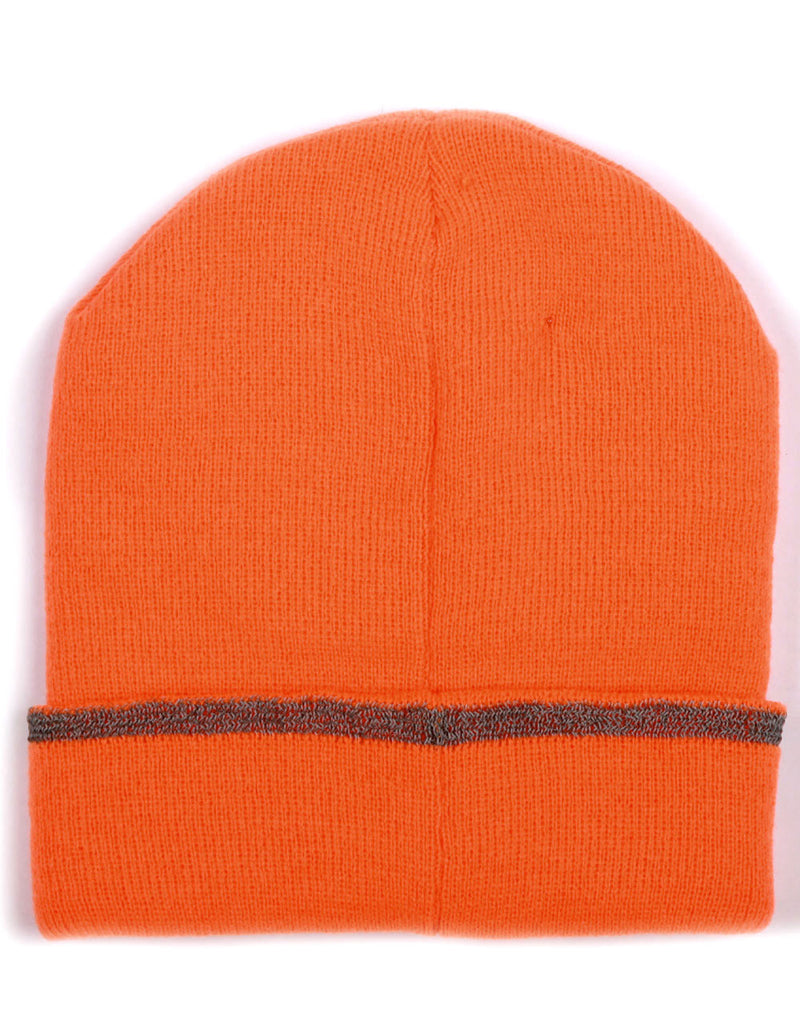 CH23 THINSULATED CUFF BEANIE