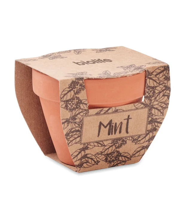 Mint Pot