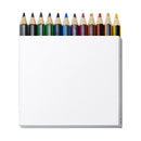STAEDTLER Colouring Pencil Set of 12