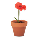 Poppy - Grow your own pot
