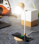 Limited Edition Multifunction Lamp