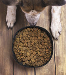 RPET Foldable Pet Bowl