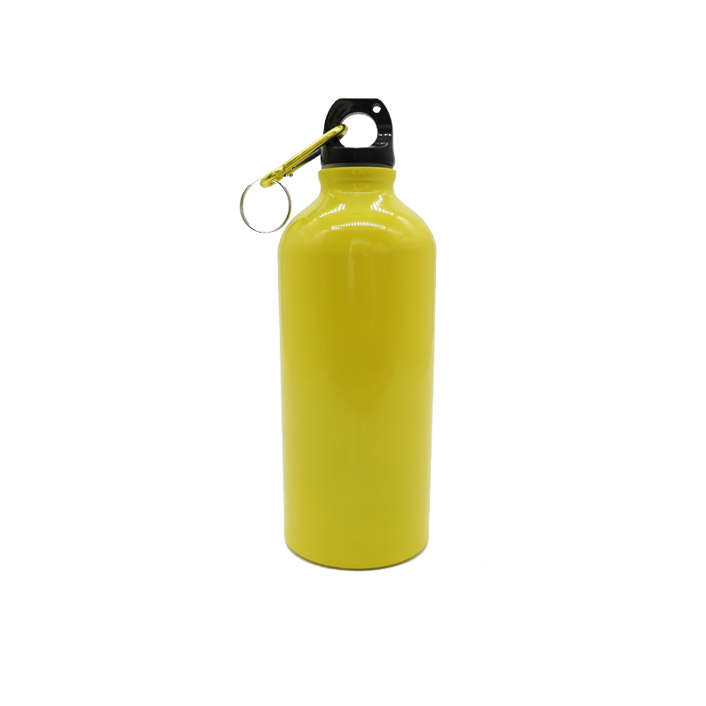 Voyager 600ml Bottle