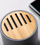 Piler Limestone Speaker