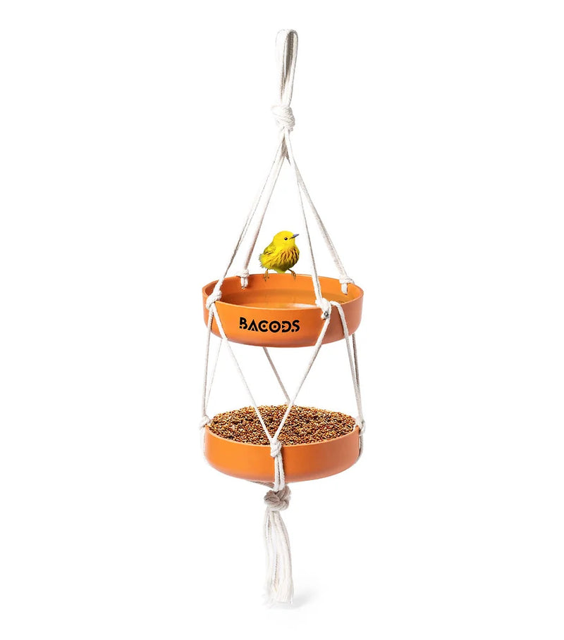 Bird Feeder