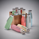 Arkansas Recycled Steel Bottle