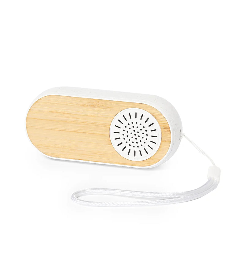 Gissel Earphones & Speaker