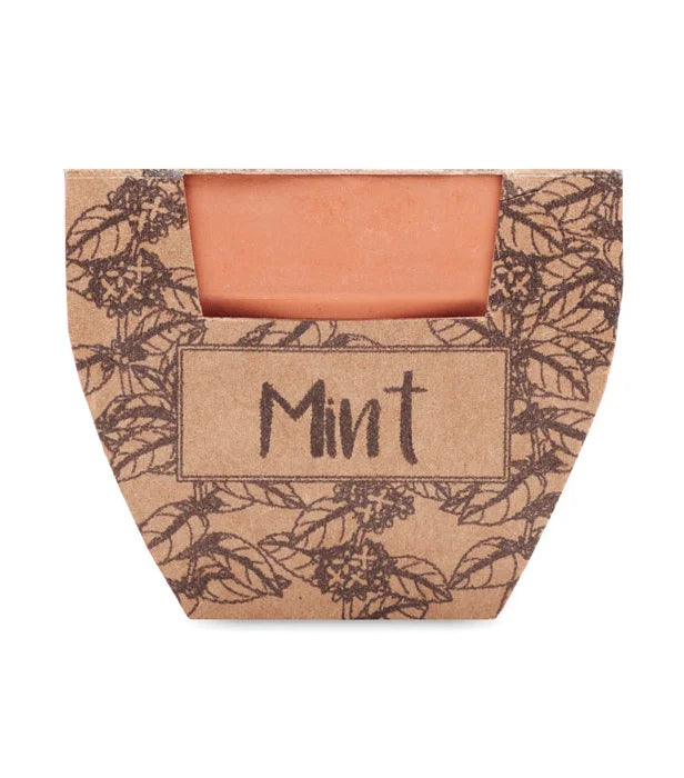 Mint Pot