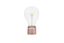 Royal Flyte Light - Set the Light bulb free