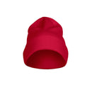 PA400.Flexball Beanie