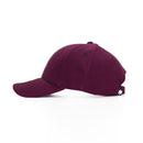Alpine 6 Panel Brushed Twill Cap