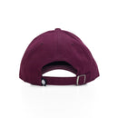 Alpine 6 Panel Brushed Twill Cap