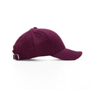 Alpine 6 Panel Brushed Twill Cap