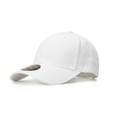 Lake 6 Panel Polyester Stretch Cap
