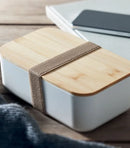 100% PLA Lunch Box - Beiba