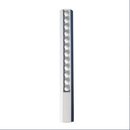 30cm Popper Ruler