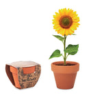 Sunflower - Grow your own Pot