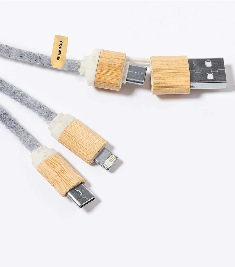 Braxton Charging Cable