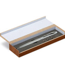 Laser Pointer Pen