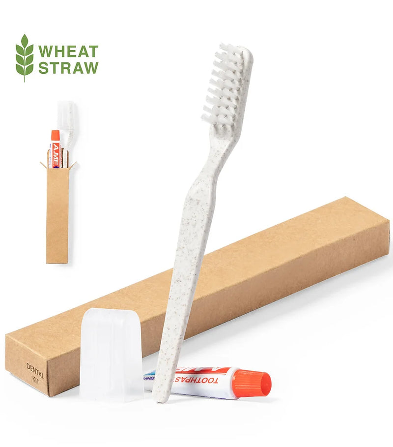 Dental Kit