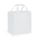 20 Litre Non Woven Cooler Bag