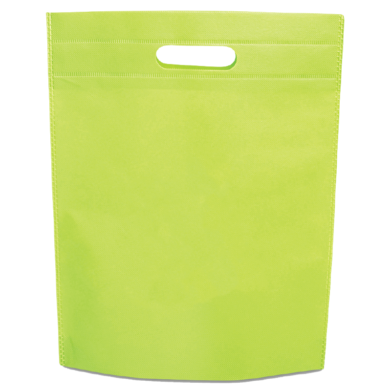 Non-Woven Gift Bag