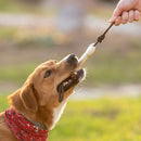 Dog Chew Toy in TPR material