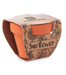 Sunflower - Grow your own Pot