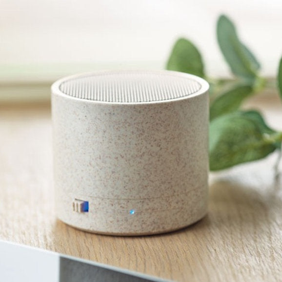 Wheat straw speaker