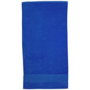 M100.Terry Velour Towel
