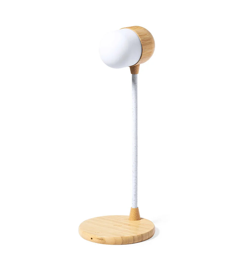 Limited Edition Multifunction Lamp