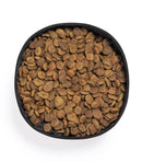 RPET Foldable Pet Bowl