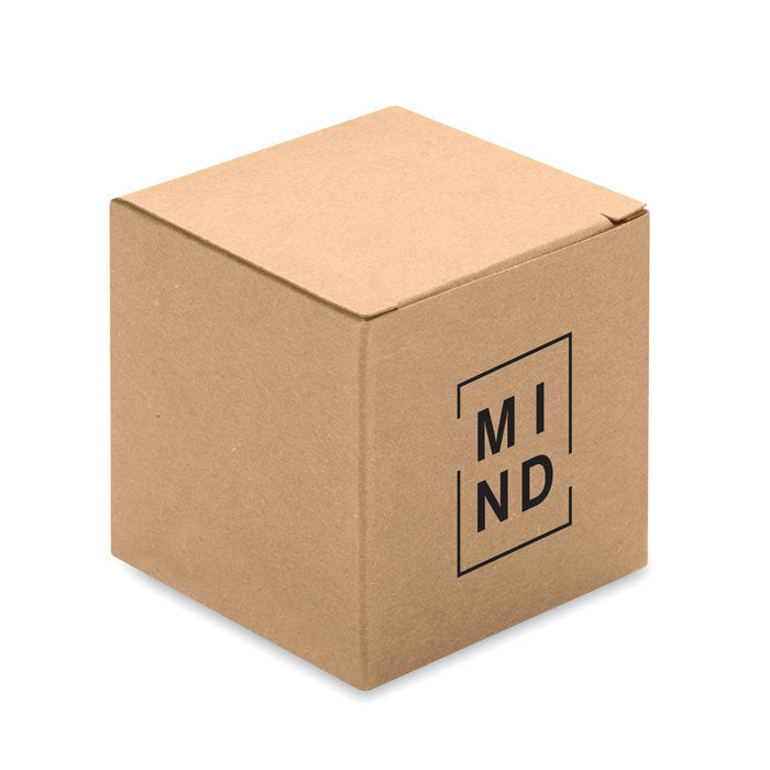 Squarenats Brain Teaser Puzzle
