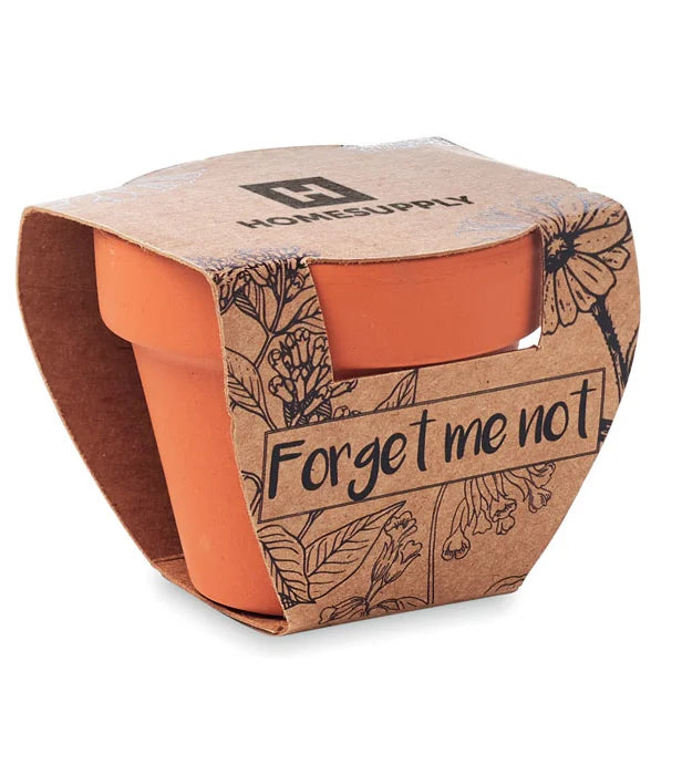 Forget me not - Grow your own pot
