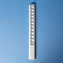 30cm Popper Ruler