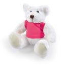 LL40883.Frosty Plush Teddy Bear