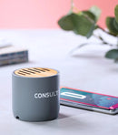 Piler Limestone Speaker