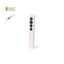 Presenter Laser Pointer - Lesi