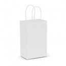 Paper Carry Bag - Small