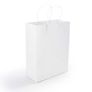 LL548.Express Paper Bag Medium
