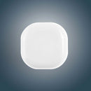 LL2017.Cube Lip Balm