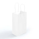 LL547.Express Paper Bag Small